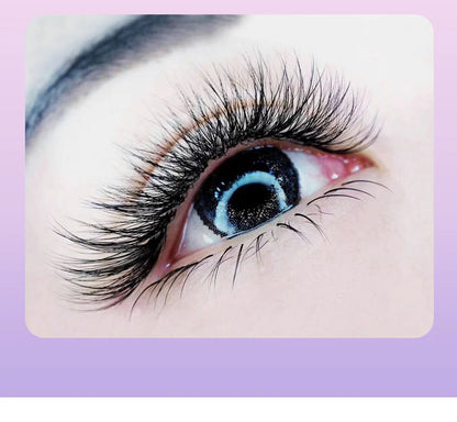 AGUUD Matte Dark Black Ellipse Flat Lashes 0.15 0.20 B C CC D DD Double Split Tip Individual Flat False Eyelashes Makeup Cilia