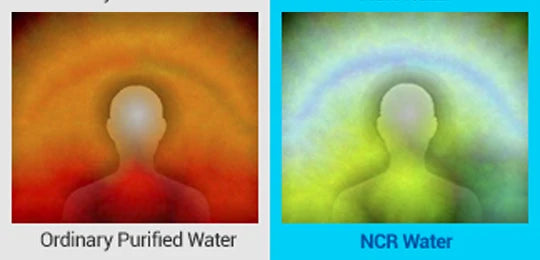Natural Mineral Alkaline Water Filter Cartridge NCR101
