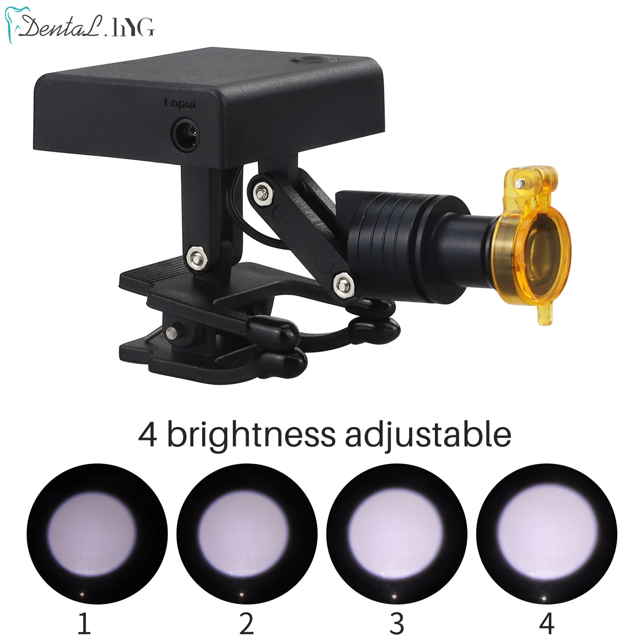 2.5X/3.5X 420mm Dental Loupe Magnifier Binocular Magnifier Surgery Surgical Operation Loupe with Spotlight Head Light 5W LED