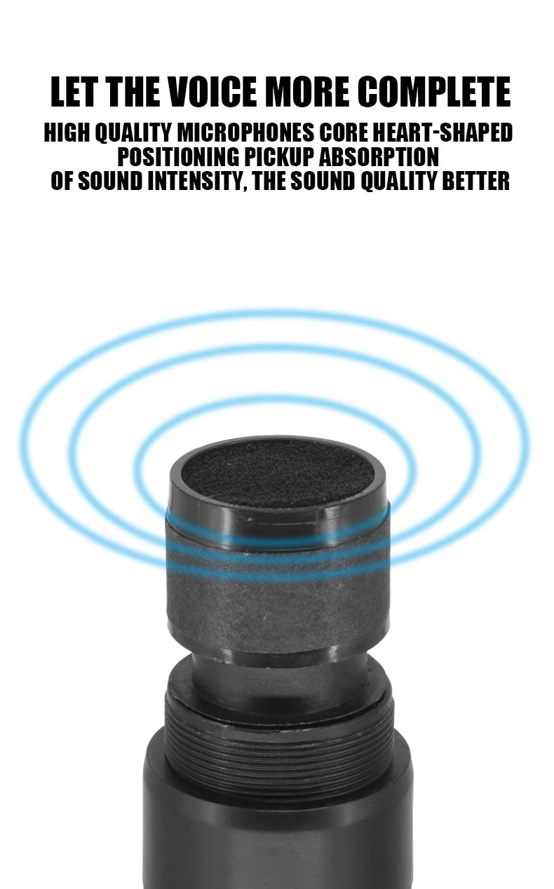 Professional Wireless Microphone 4 Channels Karaoke Handheld  Chargeable Easy Use Outdoor With Suitcase