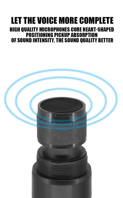 Professional Wireless Microphone 4 Channels Karaoke Handheld  Chargeable Easy Use Outdoor With Suitcase