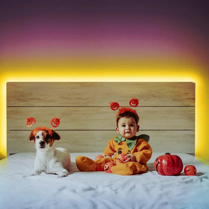 5m 10m 20m RGB+CCT LED Strip 24V 5050 Colorful+Dual White Flexible Dimmable Room Decor Party Light 2.4G RF Touch Panel Remote
