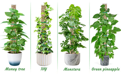 Plastic Moss Pole for Plants Monstera,24in/36in/48 inch Plant Poles for Climbing Plants Indoor Plant Support Garden Growth Stake
