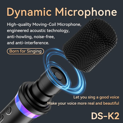 Wireless Car Microphone With Receiver Karaoke Companion 3.5MM AUX Stereo HIFI RGB Colorful Light Multi Sound Effect Mixer System
