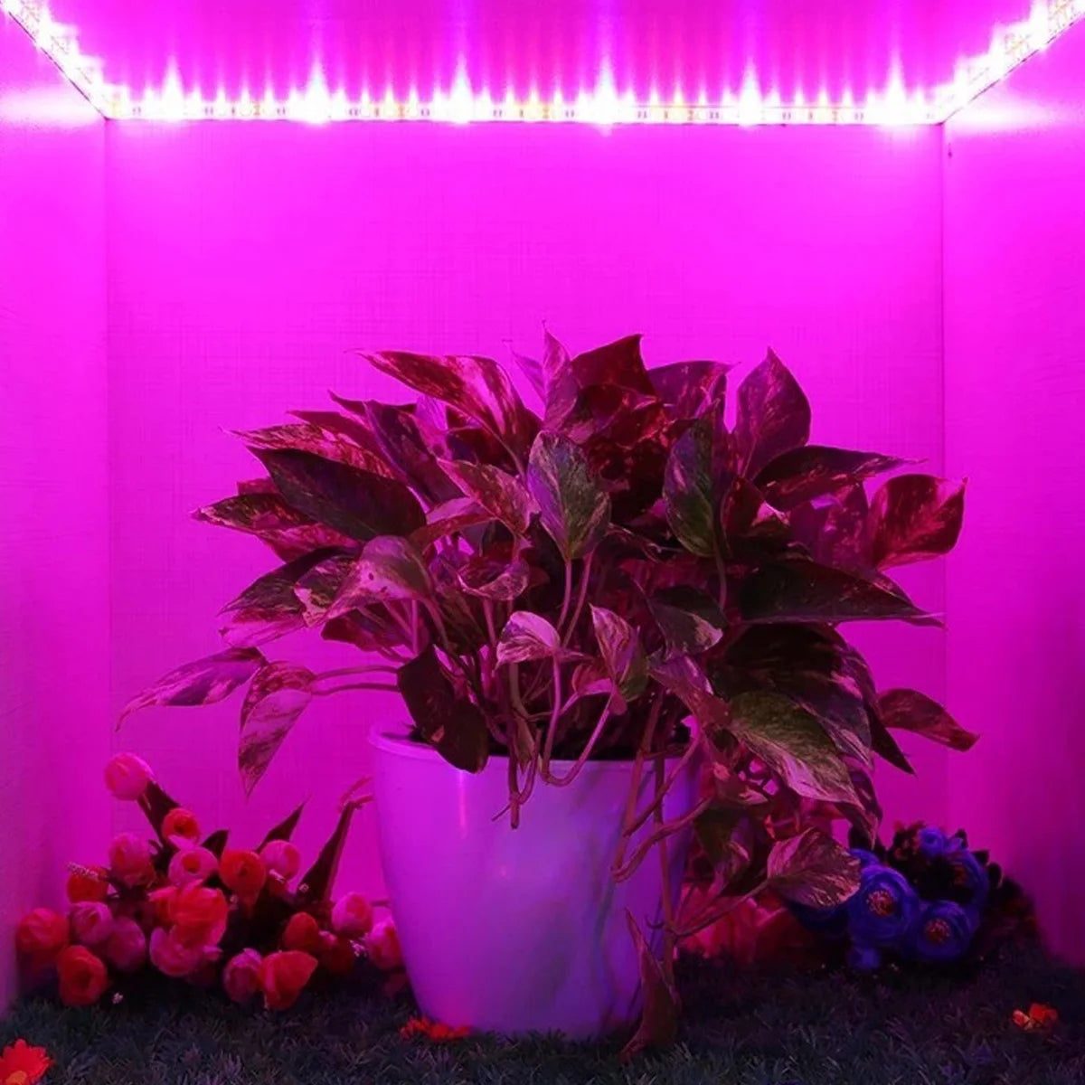 Waterproof Full Spectrum LED Light Strip Plant Growth 5v USB Powered 1-3M Long Suitable Flower Seedlings Greenhouses Hydroponics