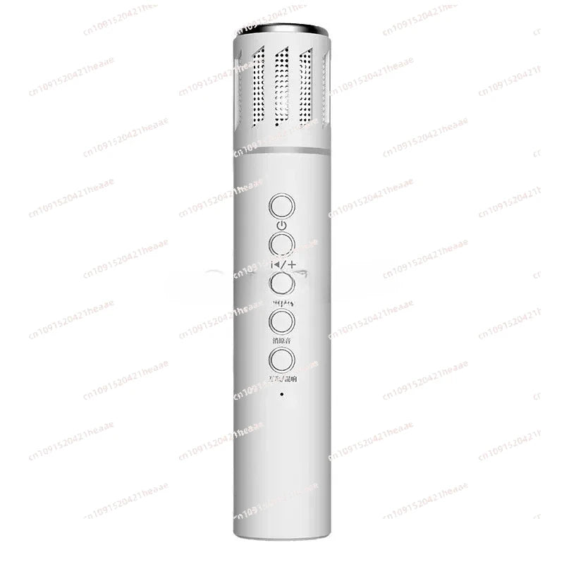 Suitable for Microphone Integrated Mobile Phone Karaoke    K20  Speaker Wireless Live Broadcast