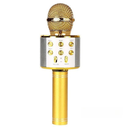 Wireless Bluetooth Karaoke Microphone for Kids, 5-in-1 Portable Handheld Karaoke Mic Speaker Player Recorder with  FM Radio