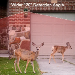 Outdoor WIFI APP 4K/2.7K 36MP/24MP Trail Camera Wildlife Infrared Night Vision Motion Activated IP65 Trap Game Cam Waterproof