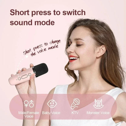 Karaoke Wireless Dual Microphones Machine KTV DSP System Bluetooth Speaker HIFI Stereo Surround For Kids And Adults Party Gift