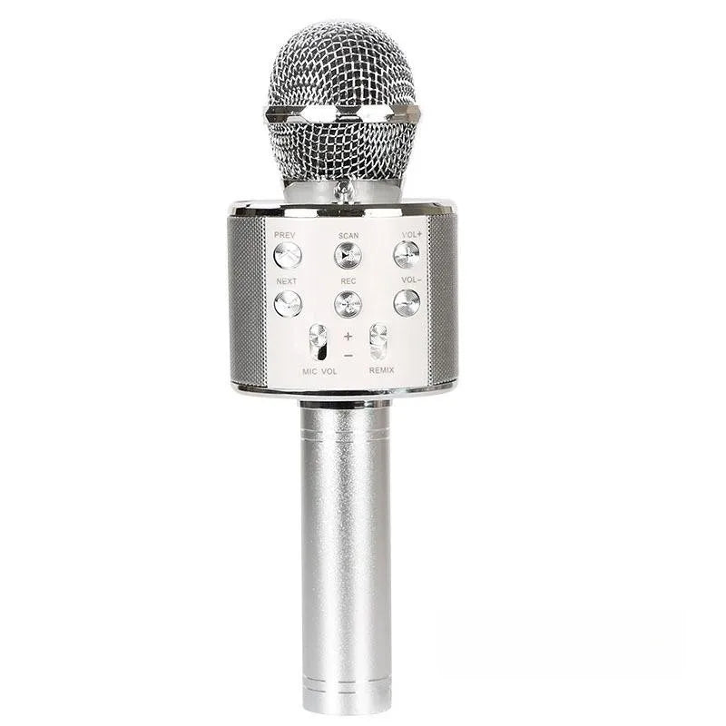 Wireless Bluetooth Karaoke Microphone for Kids, 5-in-1 Portable Handheld Karaoke Mic Speaker Player Recorder with  FM Radio
