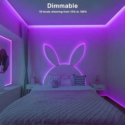 5M 10M 20M COB RGBW RGBWW LED Strip 24V Flexible Color Changing Dimmable Room Liner Light Home Decor 2.4G RF Remote Control Kit