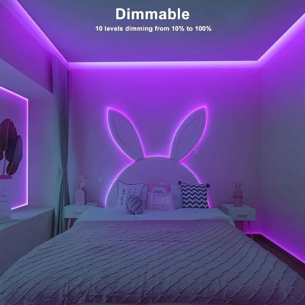 5M 10M 20M COB RGBW RGBWW LED Strip 24V Flexible Color Changing Dimmable Room Liner Light Home Decor 2.4G RF Remote Control Kit