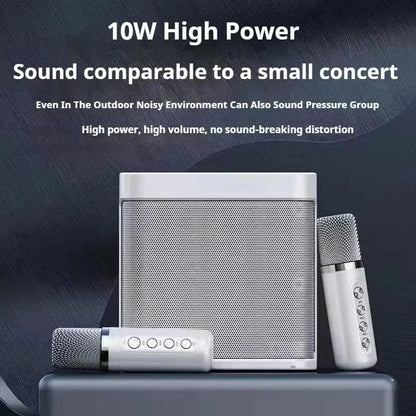 Karaoke Machine With 2 Wireless Dual Microphones Portable Boombox AUX TF Card U Disk Player Voice Changer For Party