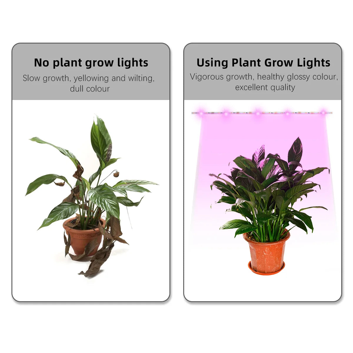 Waterproof Full Spectrum LED Light Strip Plant Growth 5v USB Powered 1-3M Long Suitable Flower Seedlings Greenhouses Hydroponics