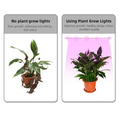 Waterproof Full Spectrum LED Light Strip Plant Growth 5v USB Powered 1-3M Long Suitable Flower Seedlings Greenhouses Hydroponics