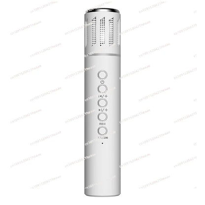 Suitable for Microphone Integrated Mobile Phone Karaoke    K20  Speaker Wireless Live Broadcast