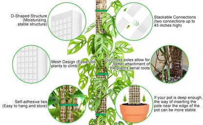 Plastic Moss Pole for Plants Monstera,24in/36in/48 inch Plant Poles for Climbing Plants Indoor Plant Support Garden Growth Stake
