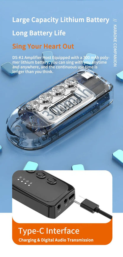 Wireless Car Microphone With Receiver Karaoke Companion 3.5MM AUX Stereo HIFI RGB Colorful Light Multi Sound Effect Mixer System
