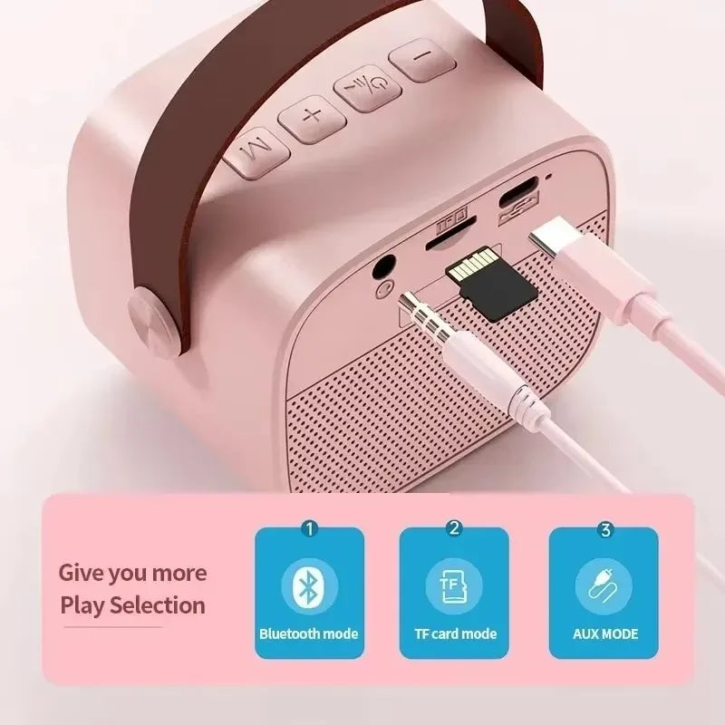 Karaoke Wireless Dual Microphones Machine KTV DSP System Bluetooth Speaker HIFI Stereo Surround For Kids And Adults Party Gift