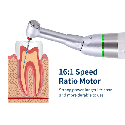 Dental Endo Motor 16:1 Standard Contra Angle Endomotor Wireless Root Canal Therapy Instrument Dentist Tools Reciprocating 360°