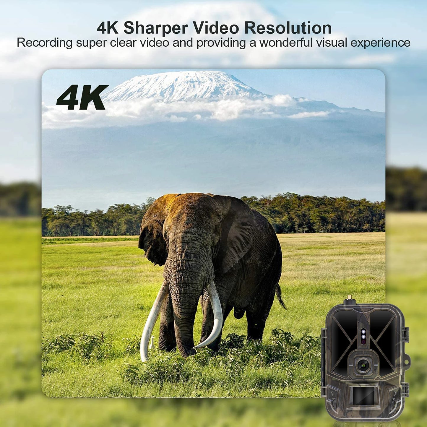 4G HD Live Video Lithium Battery Cellular Trail Camera 50MP 4K Wireless Game App Cloud Service Waterproof IP66 Wildlife Monitori