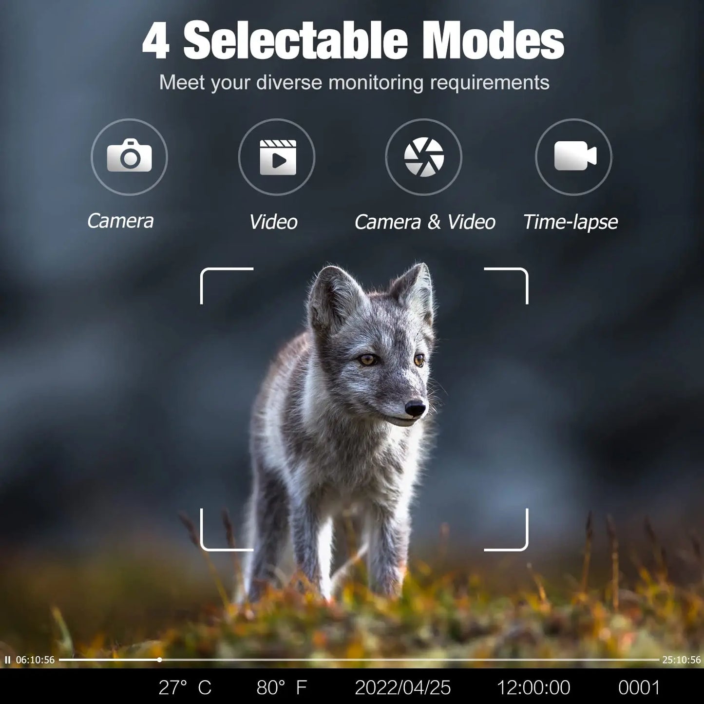 4G HD Live Video Lithium Battery Cellular Trail Camera 50MP 4K Wireless Game App Cloud Service Waterproof IP66 Wildlife Monitori