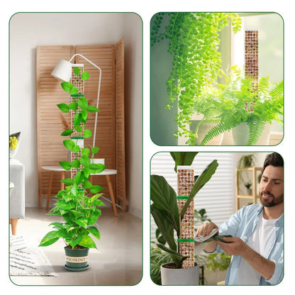 Plastic Moss Pole for Plants Monstera,24in/36in/48 inch Plant Poles for Climbing Plants Indoor Plant Support Garden Growth Stake