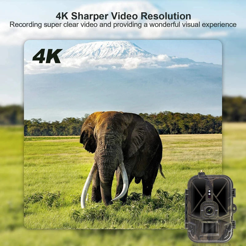 4G HD Live Video Lithium Battery Cellular Trail Camera 50MP 4K Wireless Game App Cloud Service Waterproof IP66 Wildlife Monitori