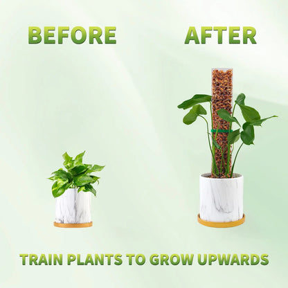 Plastic Moss Pole for Plants Monstera,24in/36in/48 inch Plant Poles for Climbing Plants Indoor Plant Support Garden Growth Stake