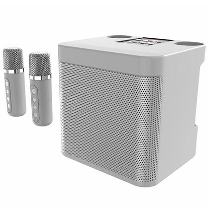 Karaoke Machine for Adults, Portable Bluetooth Karaoke Microphone Singing Speaker Karaoke Player with 2 Wireless Mic Home Party