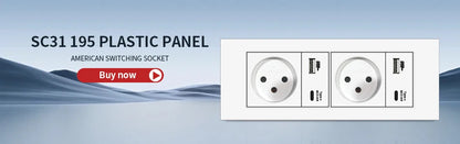 DELEFU White Retardant PC Israel USB Type C Fast Charging Wall Socket Light Tuya Wifi Smart Switch Sat TV Tel Doorbell Curtain