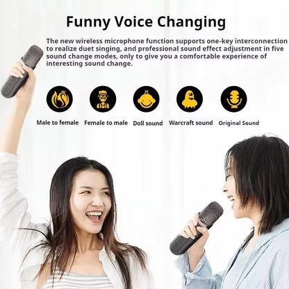 Karaoke Machine With 2 Wireless Dual Microphones Portable Boombox AUX TF Card U Disk Player Voice Changer For Party