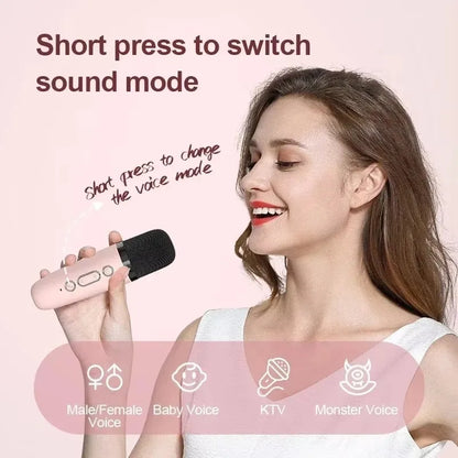 Karaoke Wireless Dual Microphones Machine KTV DSP System Bluetooth Speaker HIFI Stereo Surround For Kids And Adults Party Gift