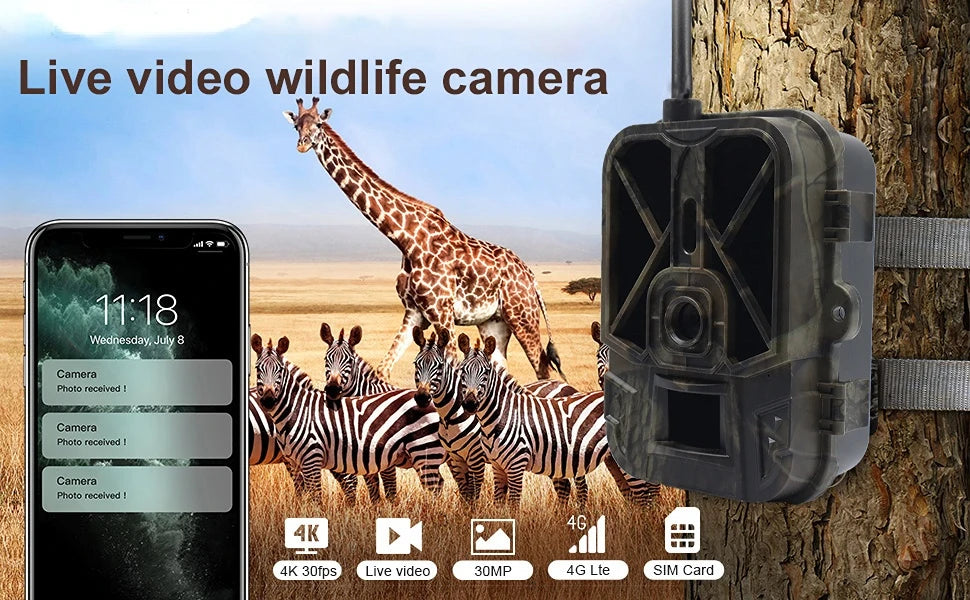 4G HD Live Video Lithium Battery Cellular Trail Camera 50MP 4K Wireless Game App Cloud Service Waterproof IP66 Wildlife Monitori