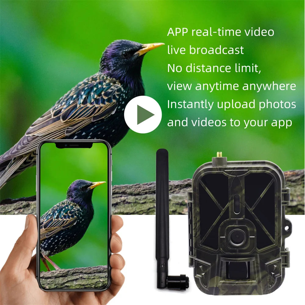 4G HD Live Video Lithium Battery Cellular Trail Camera 50MP 4K Wireless Game App Cloud Service Waterproof IP66 Wildlife Monitori