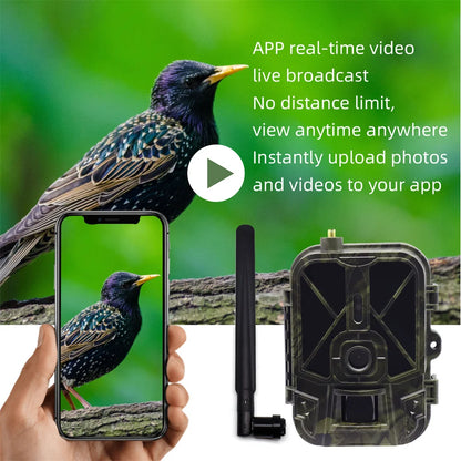 4G HD Live Video Lithium Battery Cellular Trail Camera 50MP 4K Wireless Game App Cloud Service Waterproof IP66 Wildlife Monitori