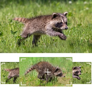 Outdoor WIFI APP 4K/2.7K 36MP/24MP Trail Camera Wildlife Infrared Night Vision Motion Activated IP65 Trap Game Cam Waterproof