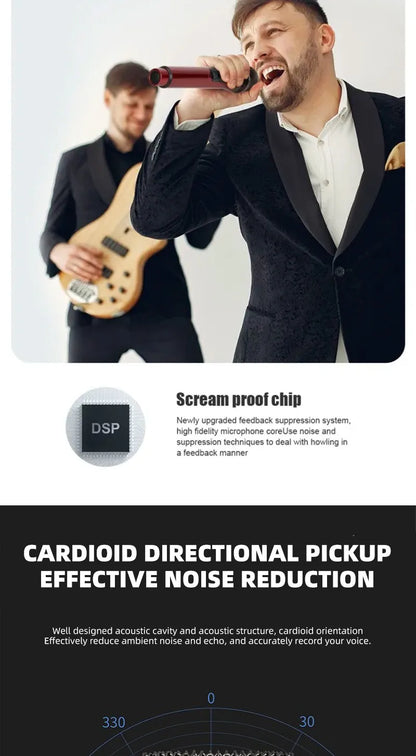 Dual Wireless Microphone Home Karaoke Stage Sound System ,Professional High-Volume Handheld Wireless Microphones for KTV
