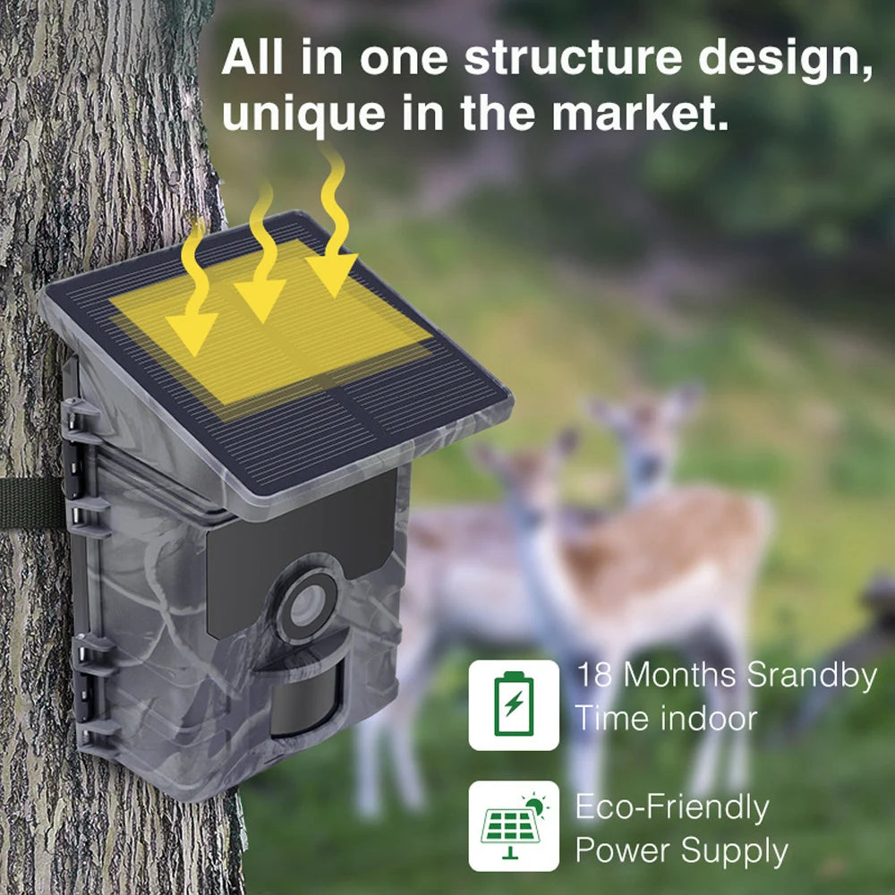 50MP 4K Solar Panel Hunting Camera Infrared Night Vision Monitoring Wildlife Trap Trail Camera Video Photo Recorder Cam