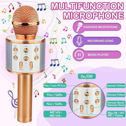 Wireless Bluetooth Karaoke Microphone for Kids, 5-in-1 Portable Handheld Karaoke Mic Speaker Player Recorder with  FM Radio