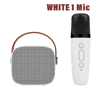 Karaoke Wireless Dual Microphones Machine KTV DSP System Bluetooth Speaker HIFI Stereo Surround For Kids And Adults Party Gift