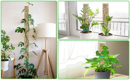 Plastic Moss Pole for Plants Monstera,24in/36in/48 inch Plant Poles for Climbing Plants Indoor Plant Support Garden Growth Stake