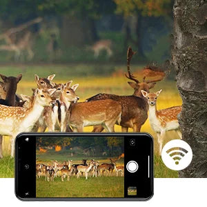 Outdoor WIFI APP 4K/2.7K 36MP/24MP Trail Camera Wildlife Infrared Night Vision Motion Activated IP65 Trap Game Cam Waterproof