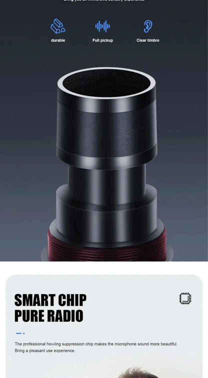 Dual Wireless Microphone Home Karaoke Stage Sound System ,Professional High-Volume Handheld Wireless Microphones for KTV