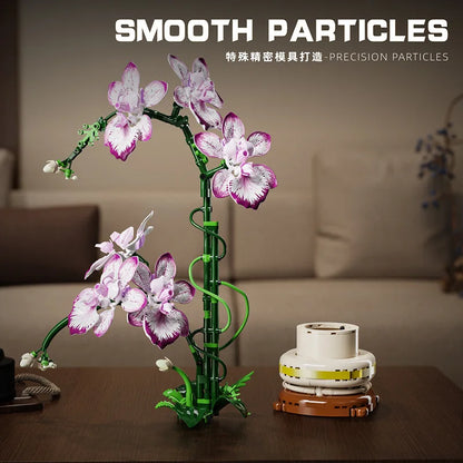Mother's Day Gift Flowers Building Block Toy Oncidium Bouquet MOC Small Particles Orchid Bricks Flower Toy for Woman Girls Kids
