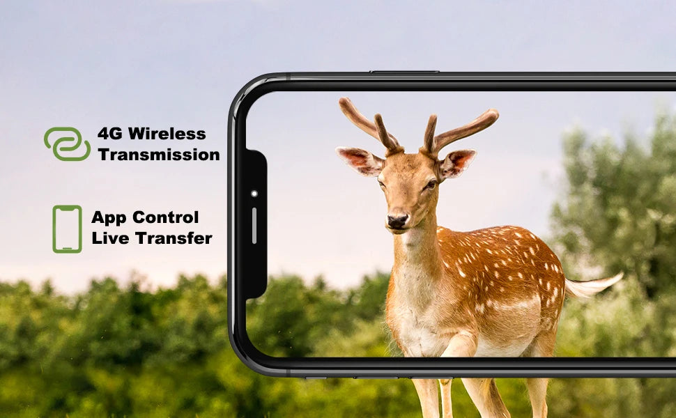 4G HD Live Video Lithium Battery Cellular Trail Camera 50MP 4K Wireless Game App Cloud Service Waterproof IP66 Wildlife Monitori