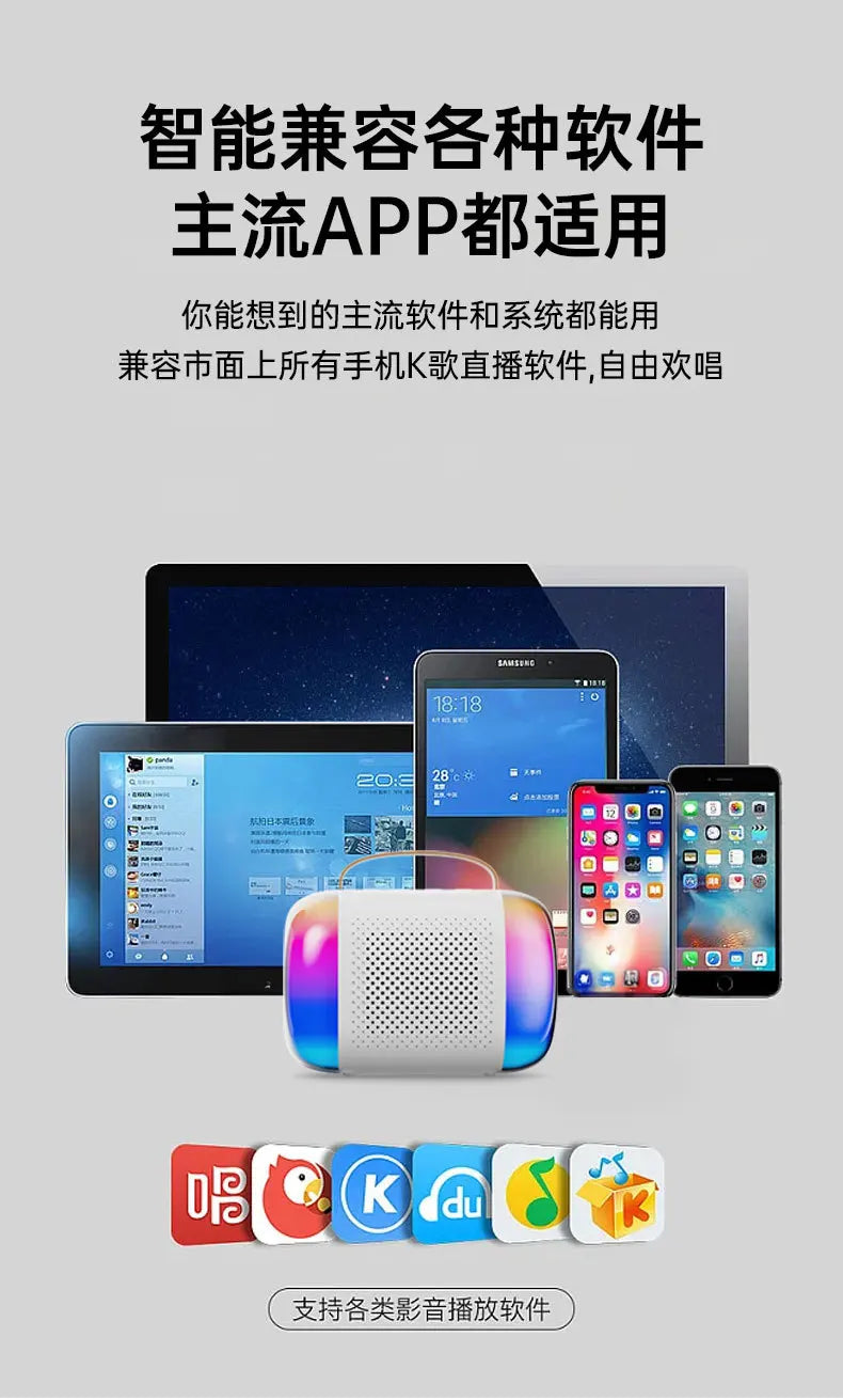 Wireless Speaker Microphone Karaoke Mini Portable Audio Microphone Portable Karaoke Speaker with Mic Home Singing For Kids Gift