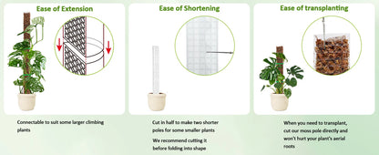 Plastic Moss Pole for Plants Monstera,24in/36in/48 inch Plant Poles for Climbing Plants Indoor Plant Support Garden Growth Stake