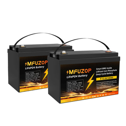 DTOUBOSS Original Lithium Rechargeable LiFePO4 For Solar System RV Outdoor Travel Home BMS 12V 100Ah U.S. Warehouse NO TAX